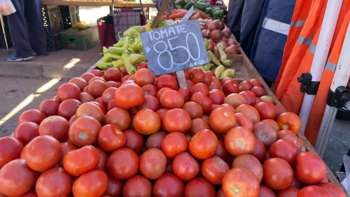 Tomates, papas y paltas disparan precios en ferias de la región