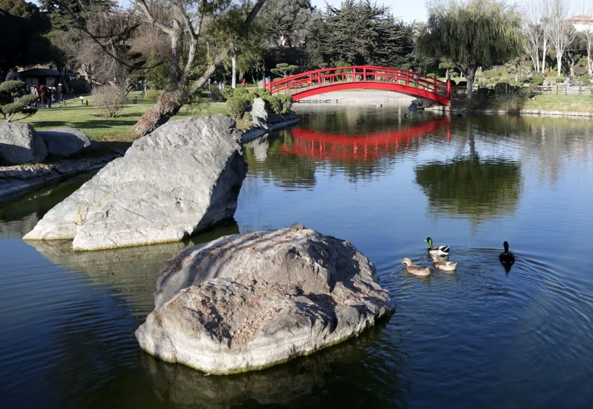 Atractivo turístico: Jardín japonés en La Serena