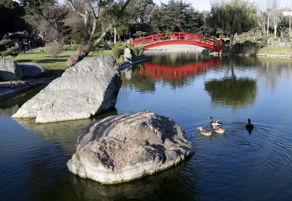 El Parque Japonés es un pequeño trozo de ese país asiático que se ubica en el corazón de La Serena. El encargado de su construcción fue el paisajista Akira Ohira y se inauguró en 1994. (Foto: El Día)