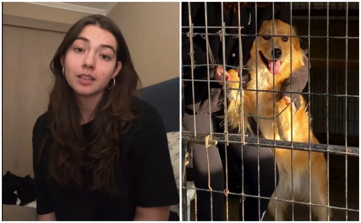 Joven denuncia maltrato animal tras muerte de perro
