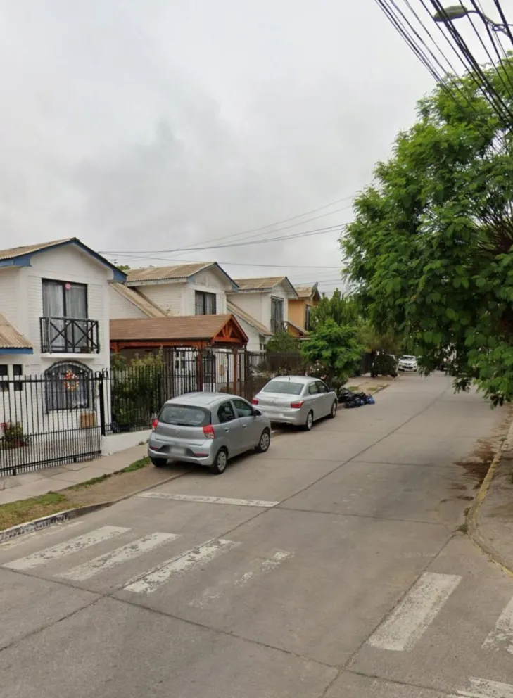 El lugar afectado por esta plaga es un sector residencial que lleva largo tiempo soportando la presencia de ratones. (Foto: Cedida)