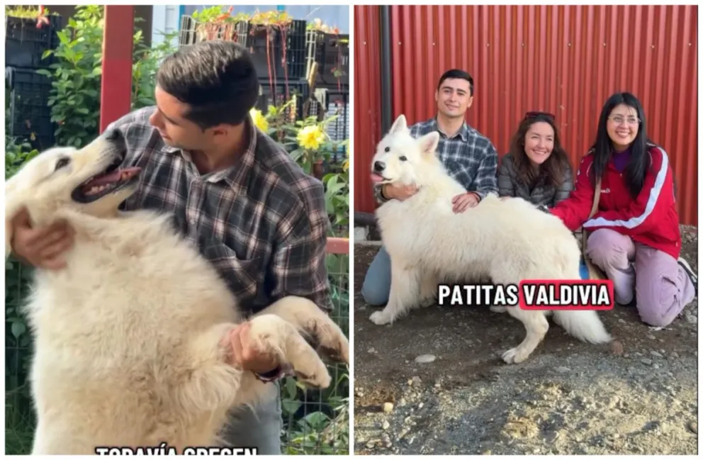 El emotivo reencuentro entre Polo y su dueño conmovió a las comunidades de Valdivia y Coquimbo.