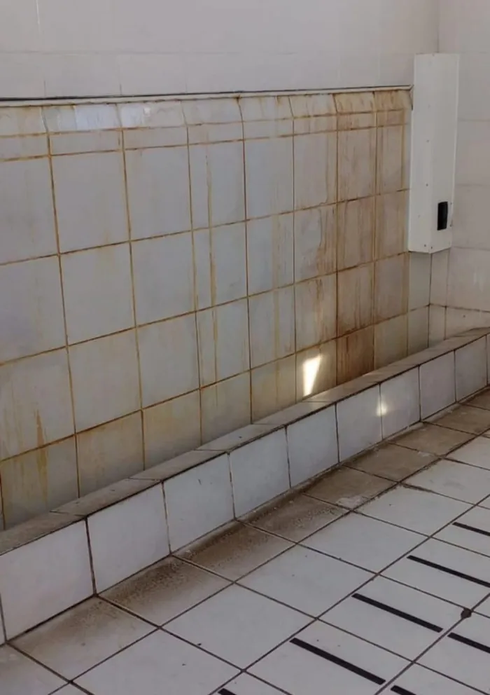 La falta de higiene y la deteriorada infraestructura de los baños es lo que más reclaman los apoderados del Colegio Víctor Domingo Silva de La Serena. (Foto: Cedida)
