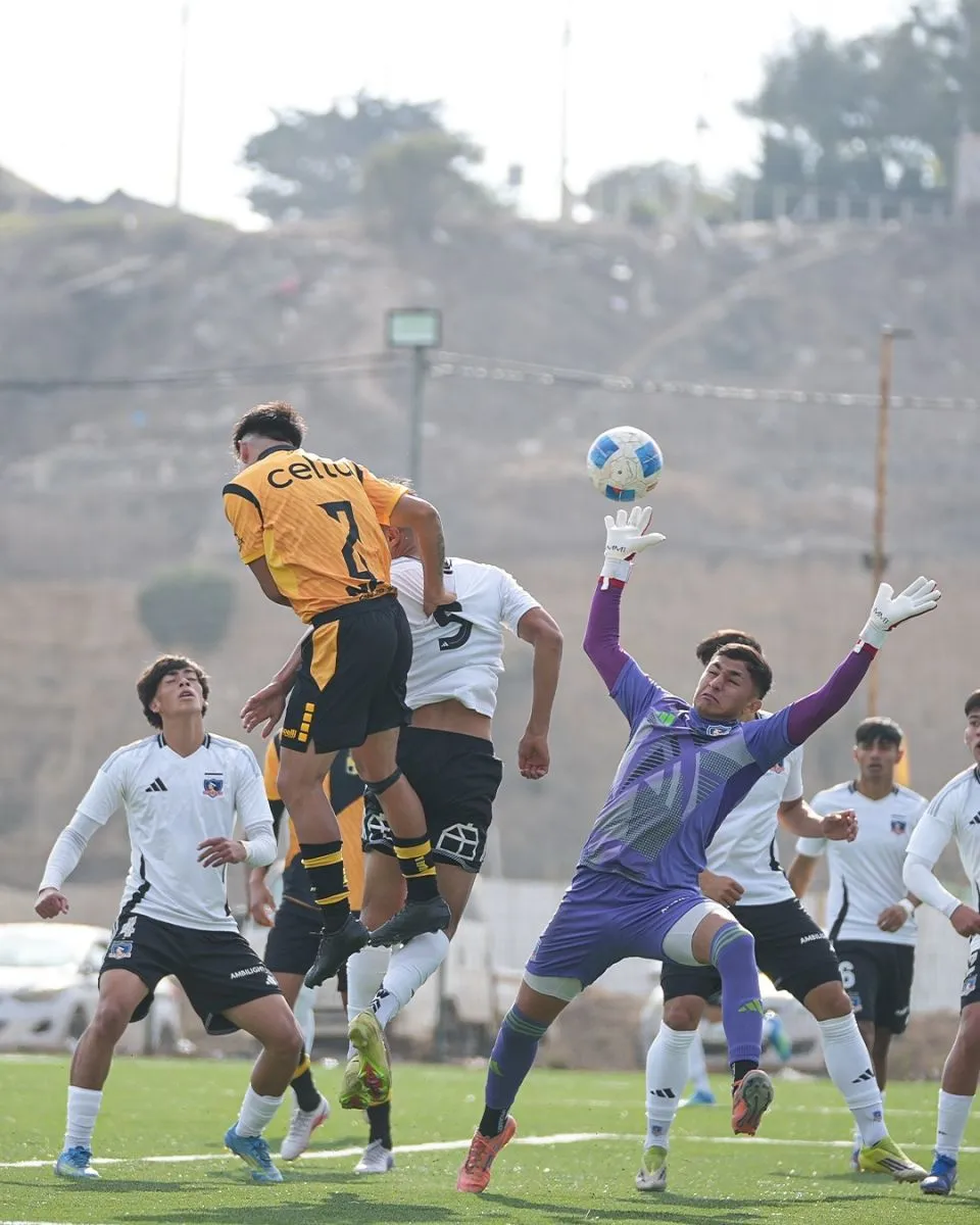 Sub 18 y sub 20 de Coquimbo Unido doblegaron a Colo Colo