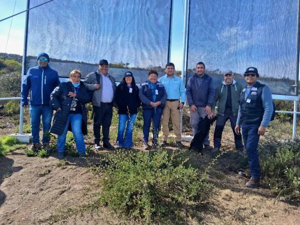 Ovalle: atrapanieblas benefician a 85 agricultores de Peña Blanca