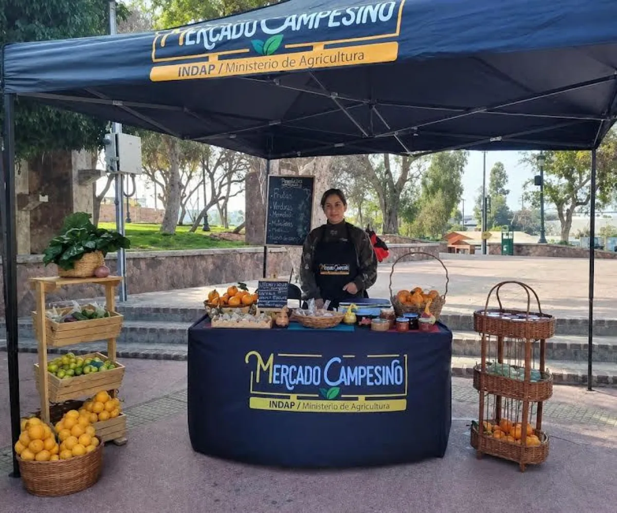 Agregando valor a la producción campesina con snacks, mermeladas y conservas Agregando valor a la producción campesina con snacks, mermeladas y conservas