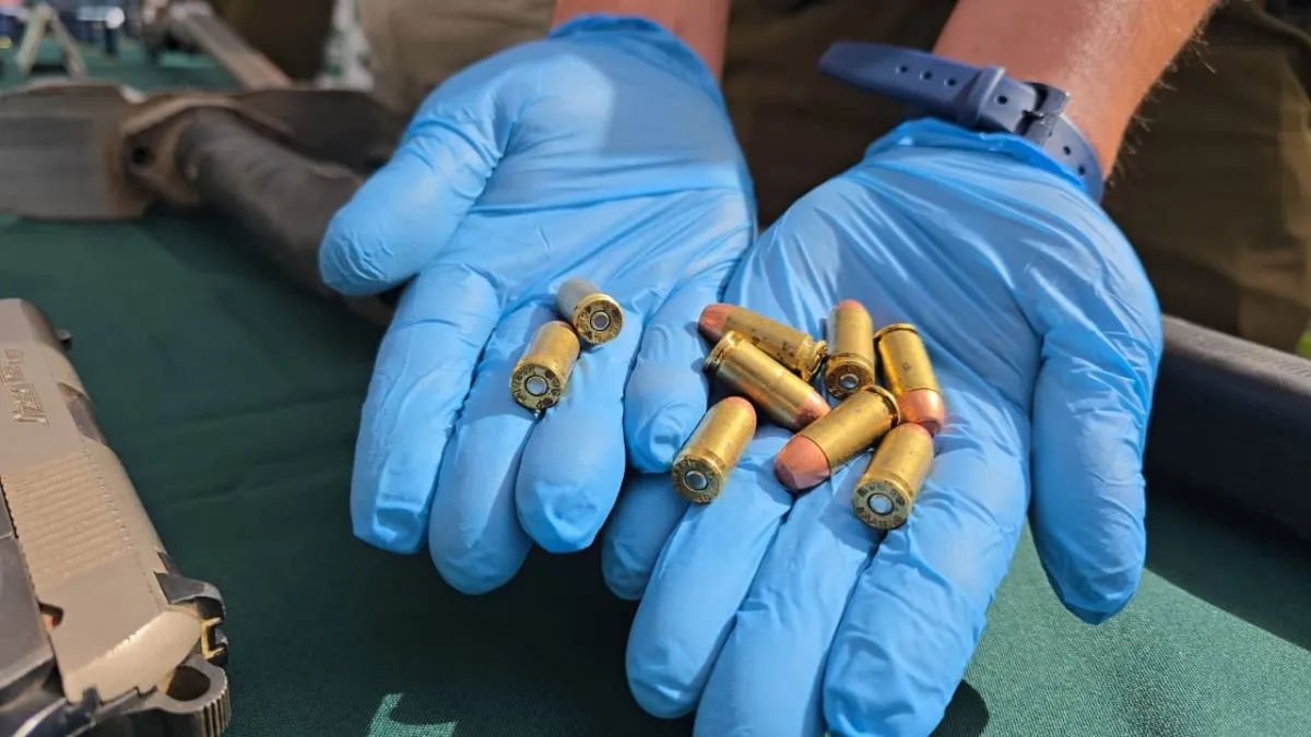 Vecinos de La Serena, Coquimbo y Vicuña mantenían 116 armas inscritas en sus domicilios