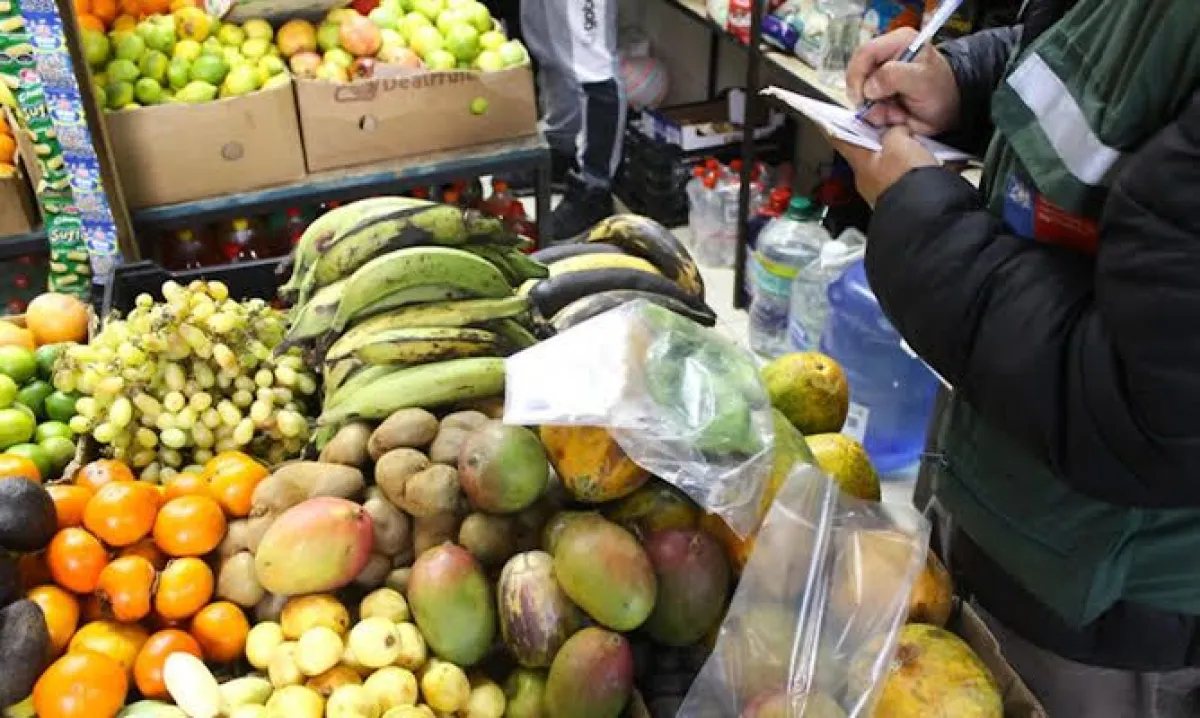 SAN alerta por nuevo foco de mosca de la fruta SAN alerta por nuevo foco de mosca de la fruta