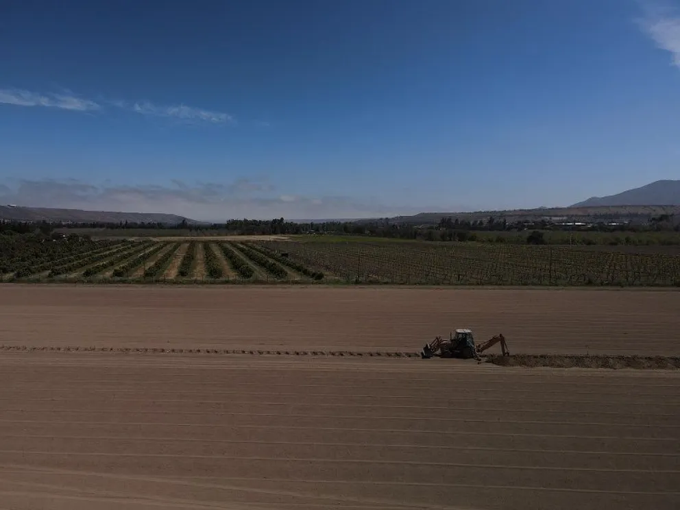 CNR invita a los agricultores y a sus Organizaciones de Usuarios de Aguas a presentar sus iniciativas al llamado 12-2026 "Concurso Nacional de Innovación",