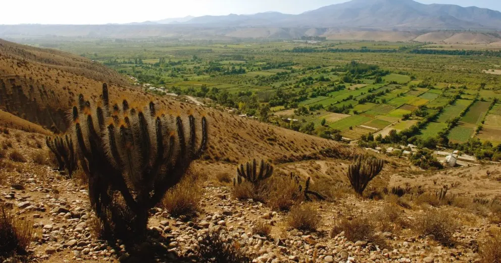 La ausencia de precipitaciones importantes durante mayo volvió a instalar inquietud entre agricultores y juntas de vigilancia de la provincia. (Foto: El Ovallino)