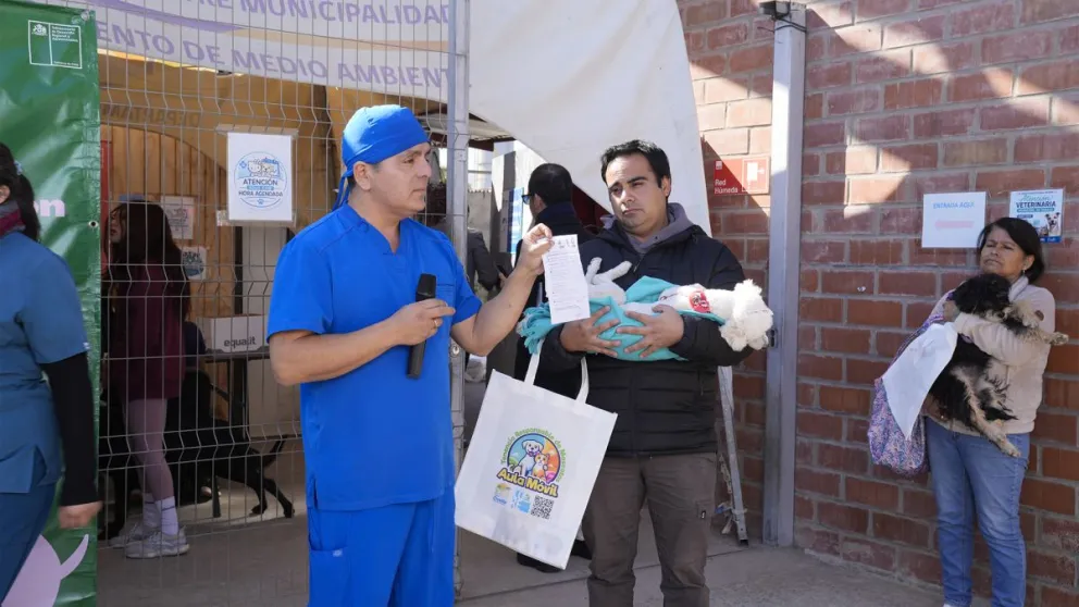Usuarios asistieron junto a sus mascotas al operativo gratuito de esterilización impulsado en Ovalle. (Foto: Cedida)