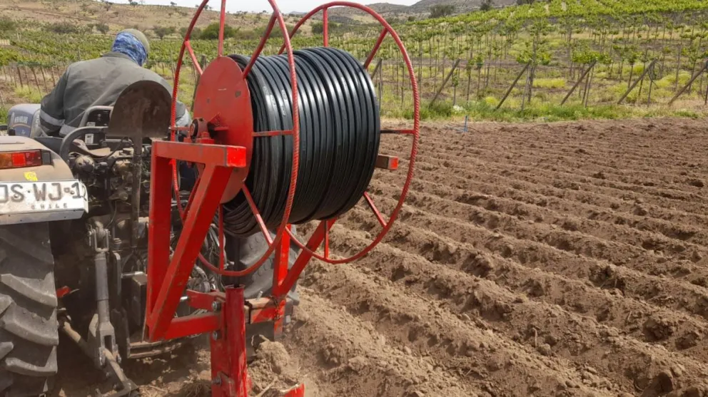La tecnología permite llevar el agua directamente a las raíces, disminuyendo pérdidas por evaporación y mejorando la eficiencia productiva.