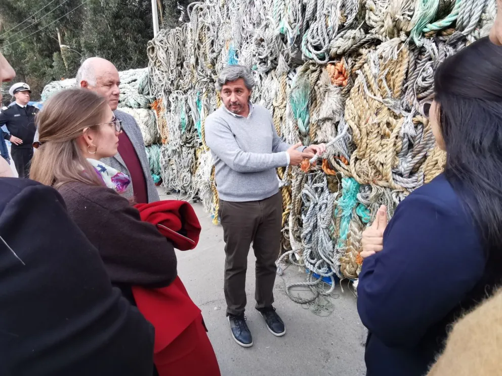 El proyecto nació en Chile y posteriormente fue adoptado por otros países miembros de la Alianza Latinoamericana para la Pesca Sustentable y Seguridad Alimentaria.