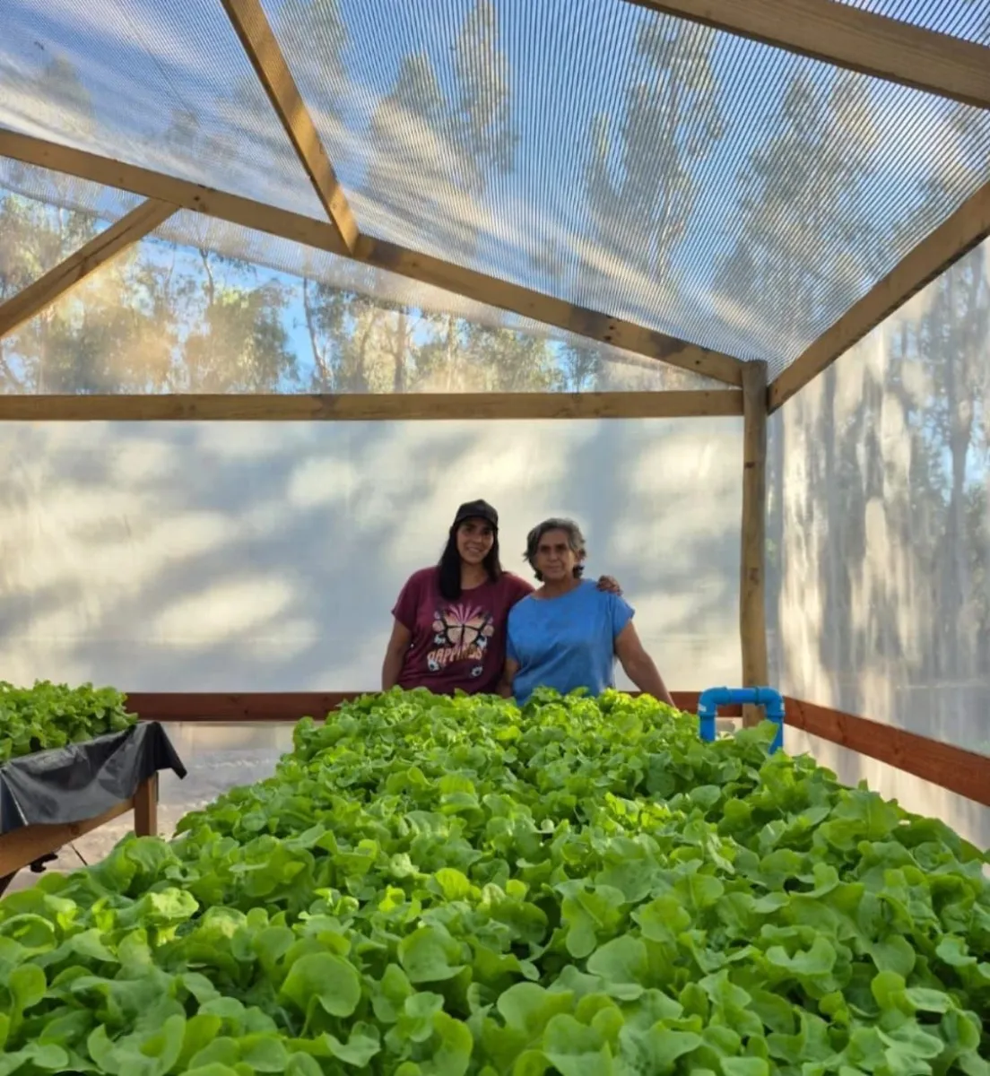Emprendedores agrícolas innovan frente a la sequía Emprendedores agrícolas innovan frente a la sequía