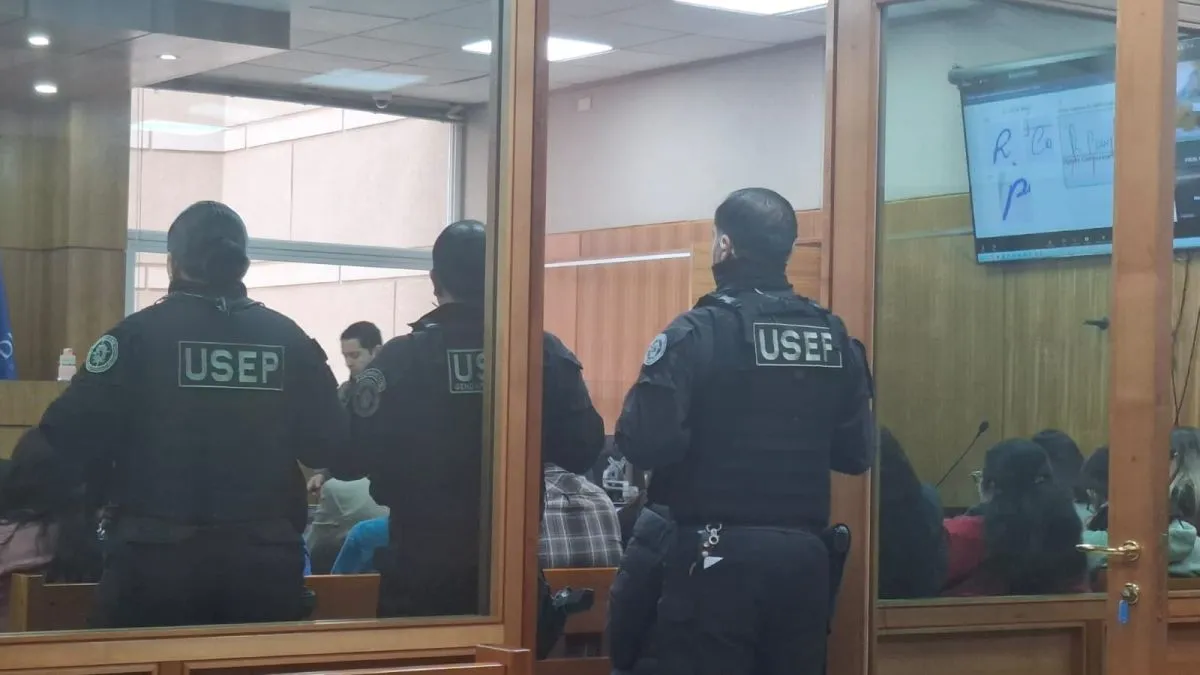 Peritajes revelan falsificación de firmas en boletas e informes Peritajes revelan falsificación de firmas en boletas e informes