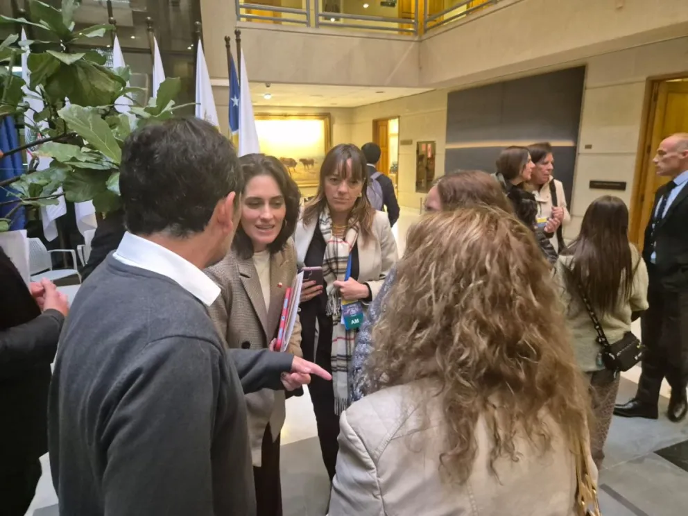 Hasta el Senado llegó la ministra de Desarrollo Social, María Jesús Wulf, para informar que el gobierno cerrará la Fundación de las Familias. (Foto: Cedida)