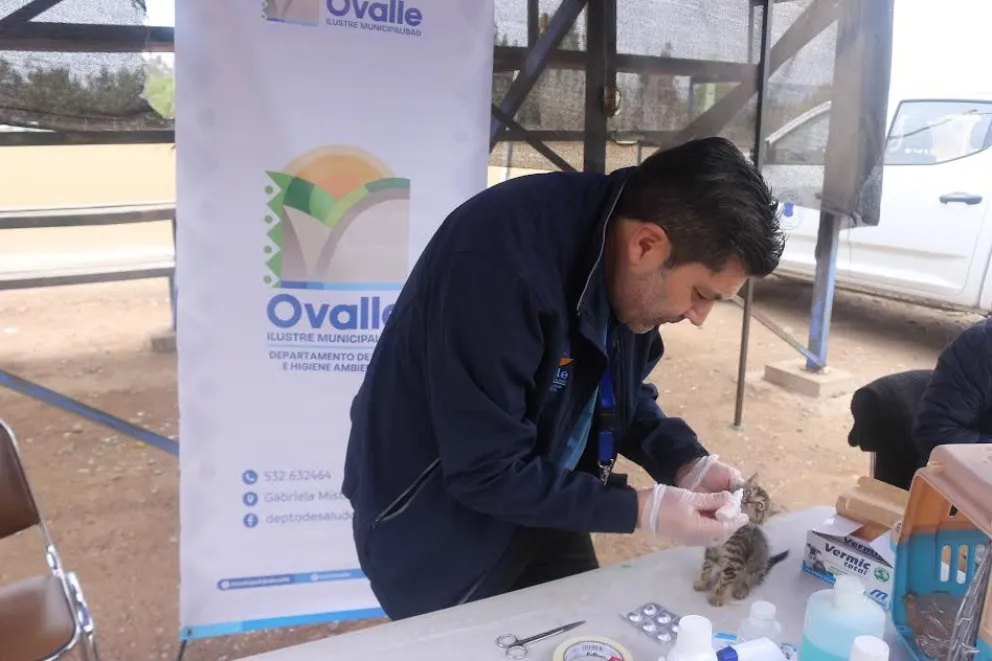 Durante la jornada se entregaron diversas prestaciones orientadas al cuidado y bienestar animal, entre ellas vacunación antirrábica, desparasitación, curaciones, tratamiento de cuadros infecciosos y consultas veterinarias. (Foto: Cedida)