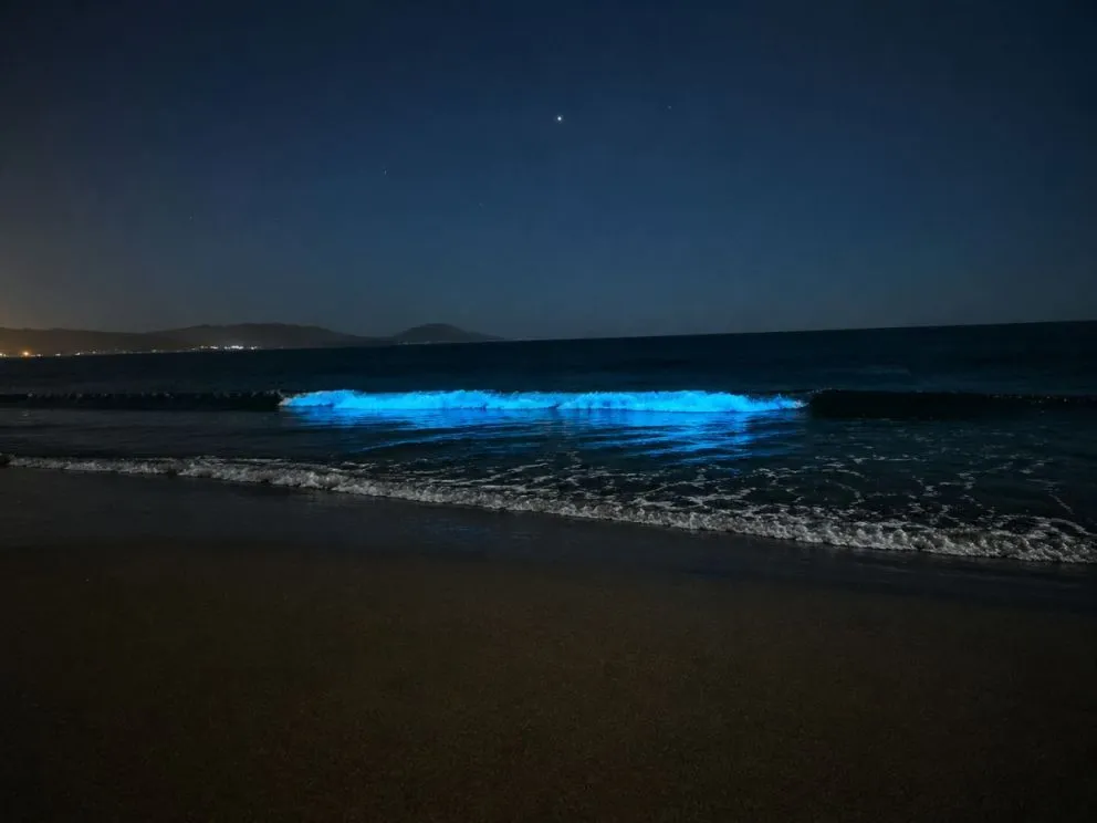Un llamado al autocuidado al momento de acudir a la costa para observar este hermoso fenómeno natural realizaron las autoridades. (Foto: Cristian Silva)