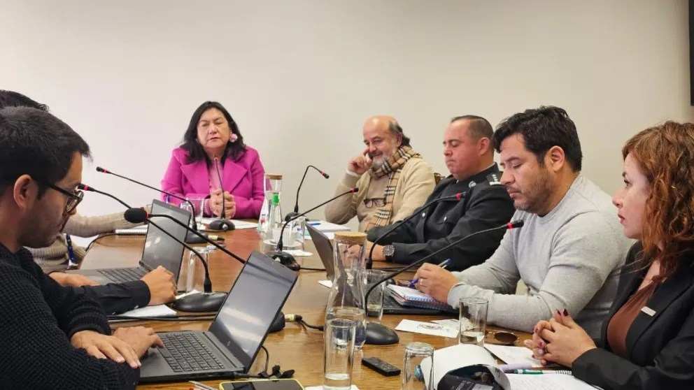 Este viernes se desarrolló una sesión extraordinaria del Concejo Municipal para tratar esta problemática.