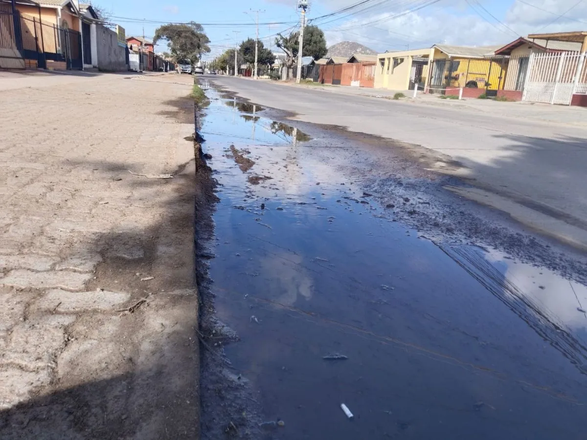 Fuga de agua en Bosque San Carlos activa por dos semanas