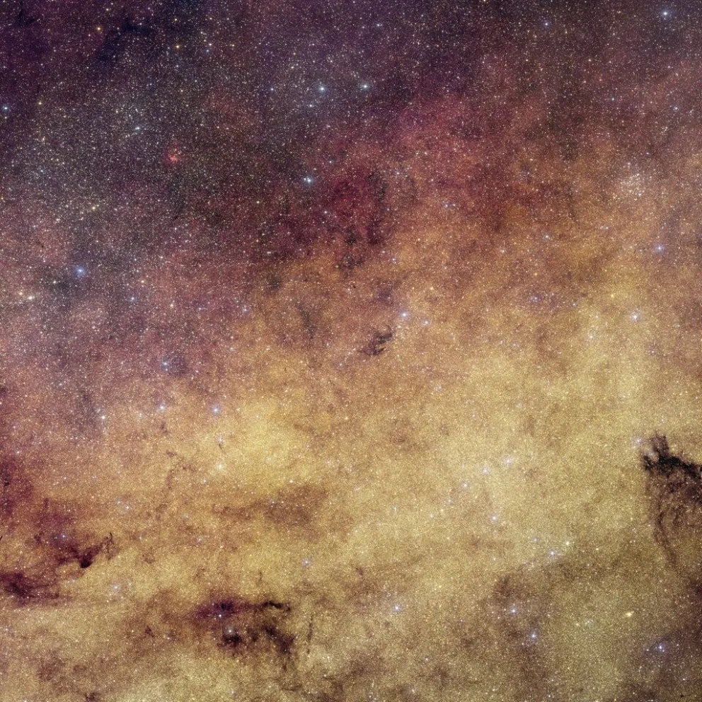  ESA 