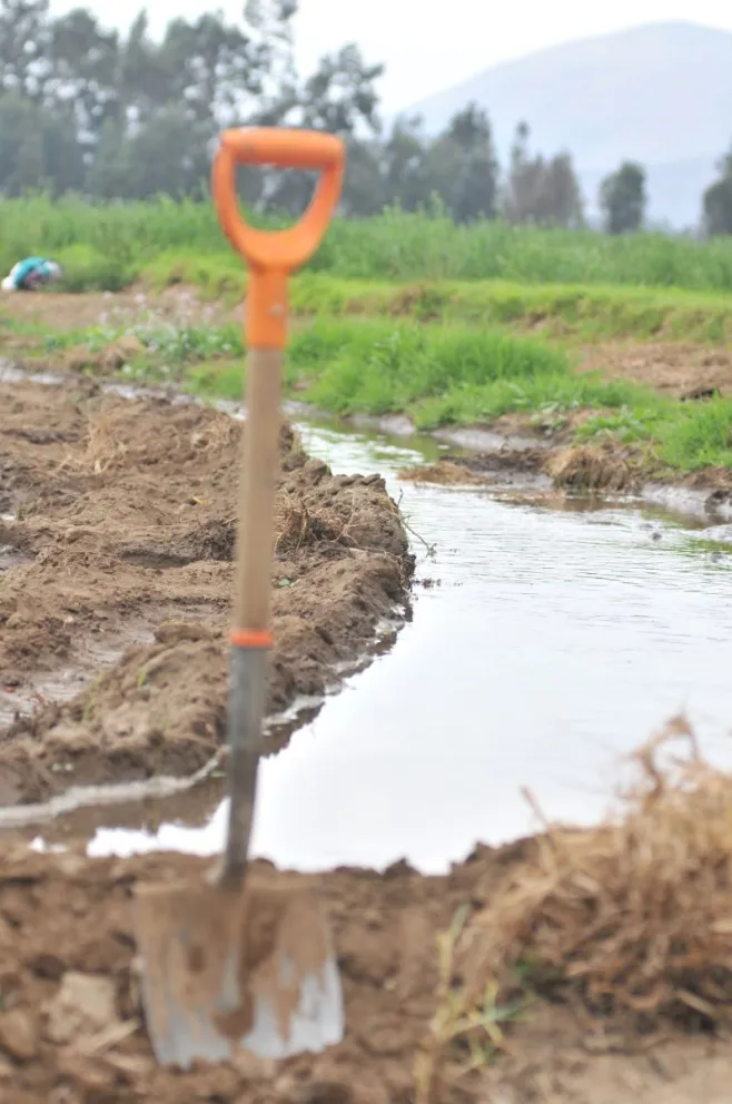 La preocupación de las organizaciones rurales se mantiene vigente, ya que consideran que la ausencia del delegado presidencial afecta la coordinación institucional necesaria para abordar los desafíos que enfrentan. (Foto: Cedida)