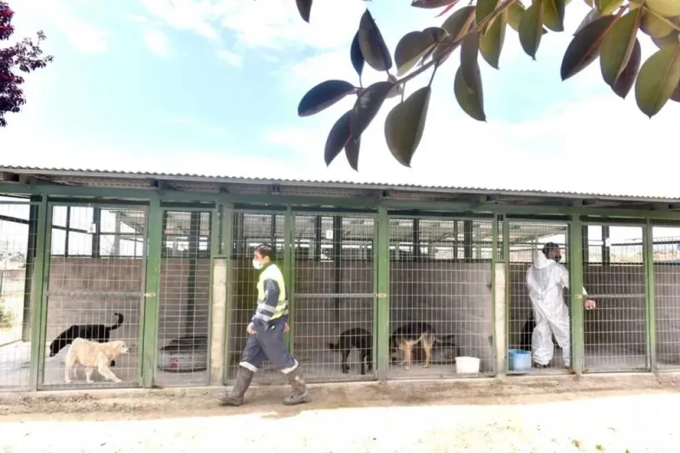 Hay preocupación por el funcionamiento del Centro Veterinario Municipal de La Serena, que funciona en el Parque Gabriel Coll. (Foto: El Día)