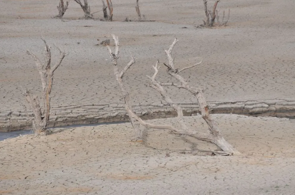 La preservación de la biodiversidad del Limarí se posiciona hoy como un desafío urgente. (Foto: Archivo)