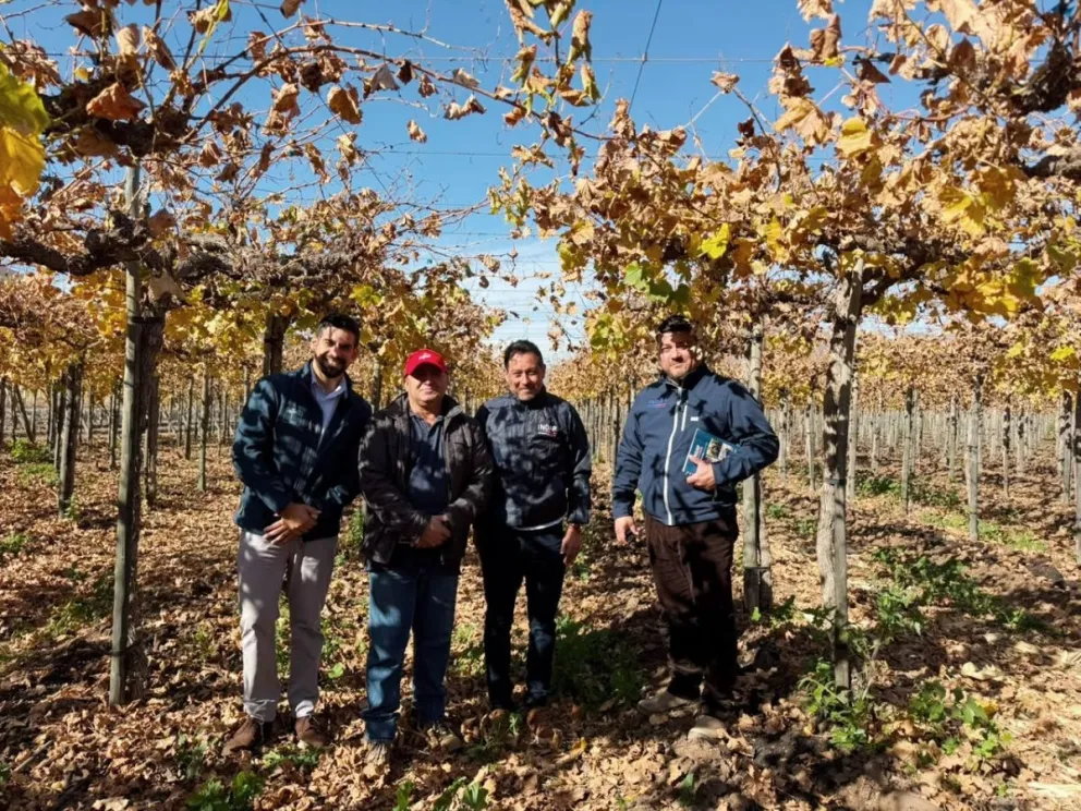 Richard Pizarro es usuario de INDAP de la comuna de Ovalle y es cooperado de la Cooperativa Agrícola Pisquera Elqui Limitada (CAPEL). (Foto: cedida)