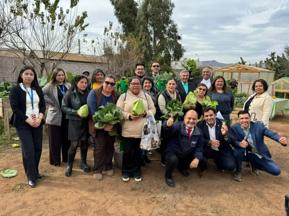  La iniciativa considera plantines de hortalizas y soluciones nutritivas para favorecer el crecimiento de los cultivos. (Foto: Cedida)