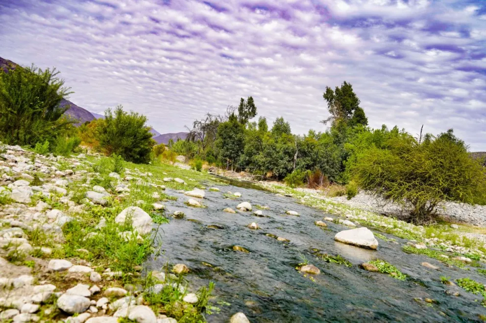 La propuesta considera dos tramos. El primero, desde la localidad de Tulahuén hasta Carén, con poco más de 20 kilómetros, y el otro correspondiente al sector de la desembocadura del río hacia el embalse La Paloma. (Foto: Cedida)
