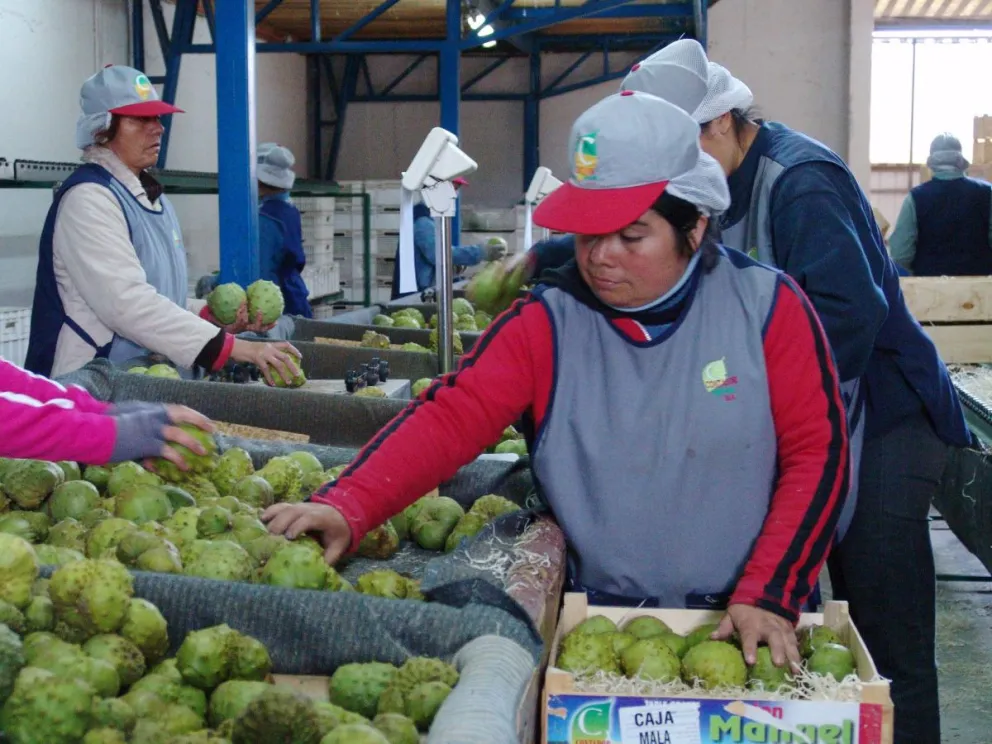 El gobierno argumentó que la flexibilización migratoria apunta a facilitar el ingreso a nuestro país de ciudadanos extranjeros que prestan servicios temporales en el sector agrícola. (Foto: El Día)