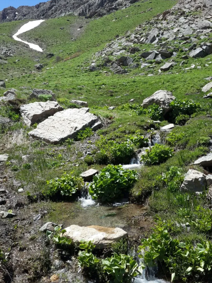 Mediante un proyecto de ley se busca proteger las nacientes, vertientes y cabeceras de cuenca, lo que es relevante frente a la sequía que afecta a la región y al país. (Foto: Pexels)
