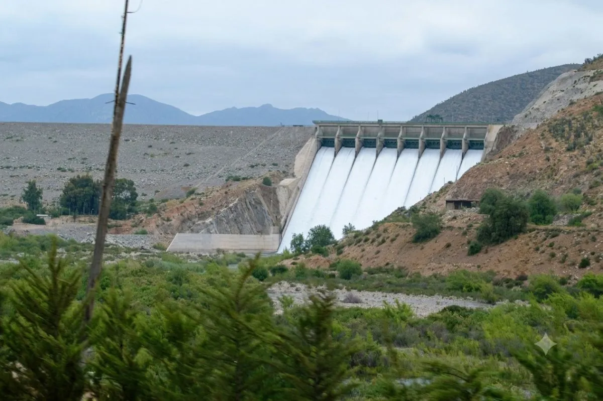 Histórica recuperación de reservas en La Paloma en 1997 Histórica recuperación de reservas en La Paloma en 1997