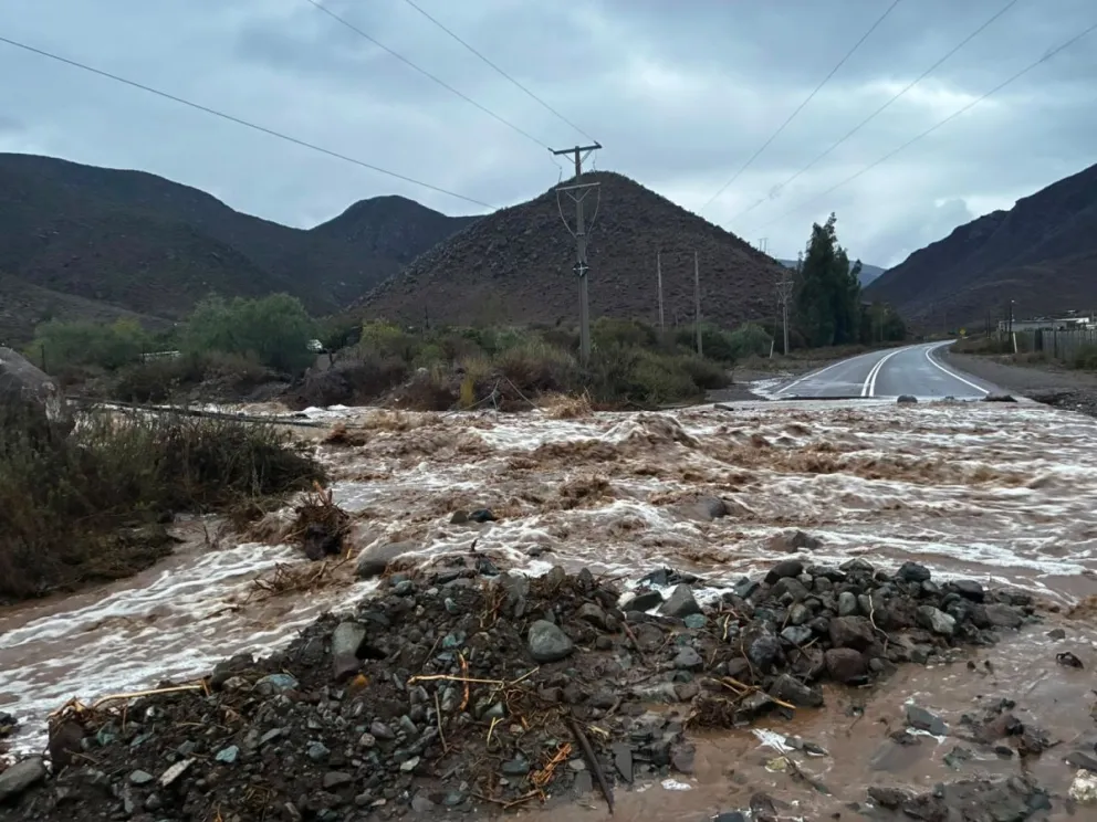 Lo destruido por el sistema frontal llevará tiempo poder recuperarlo. (Foto: Cedida)