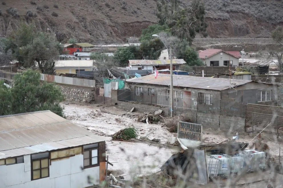 Cedida/ Municipalidad de La Serena 
