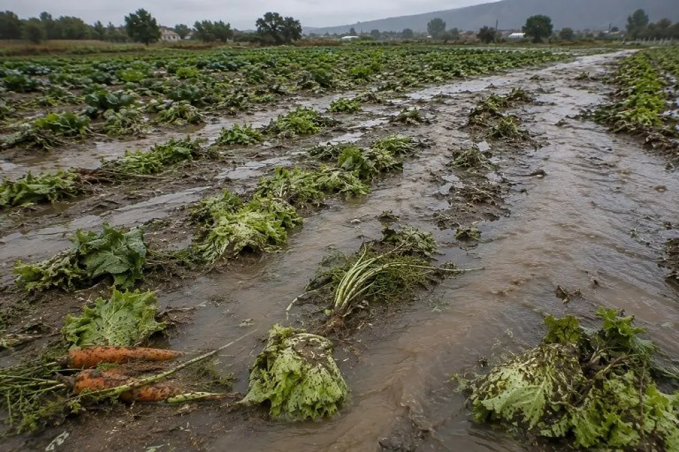 Las autoridades hicieron un llamado a la comunidad a extremar las medidas de cuidado al consumir frutas y verduras. (Foto: Cedida)