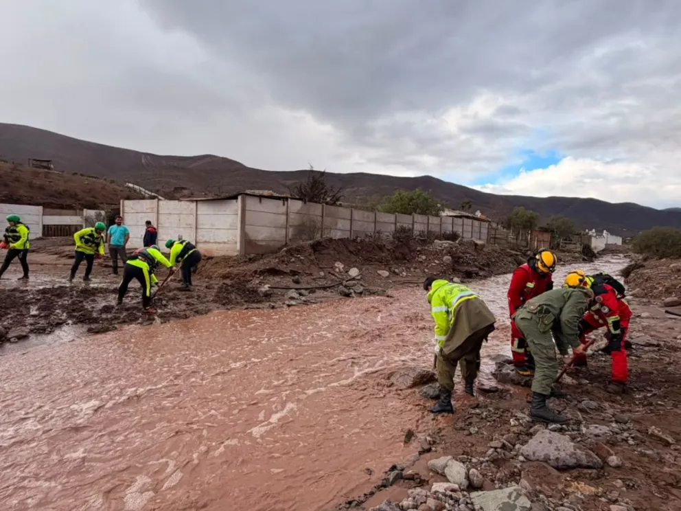 Actualmente, hay 14 denuncias por presunta desgracia en la región, tras el paso del último sistema frontal. (Foto: El Día)