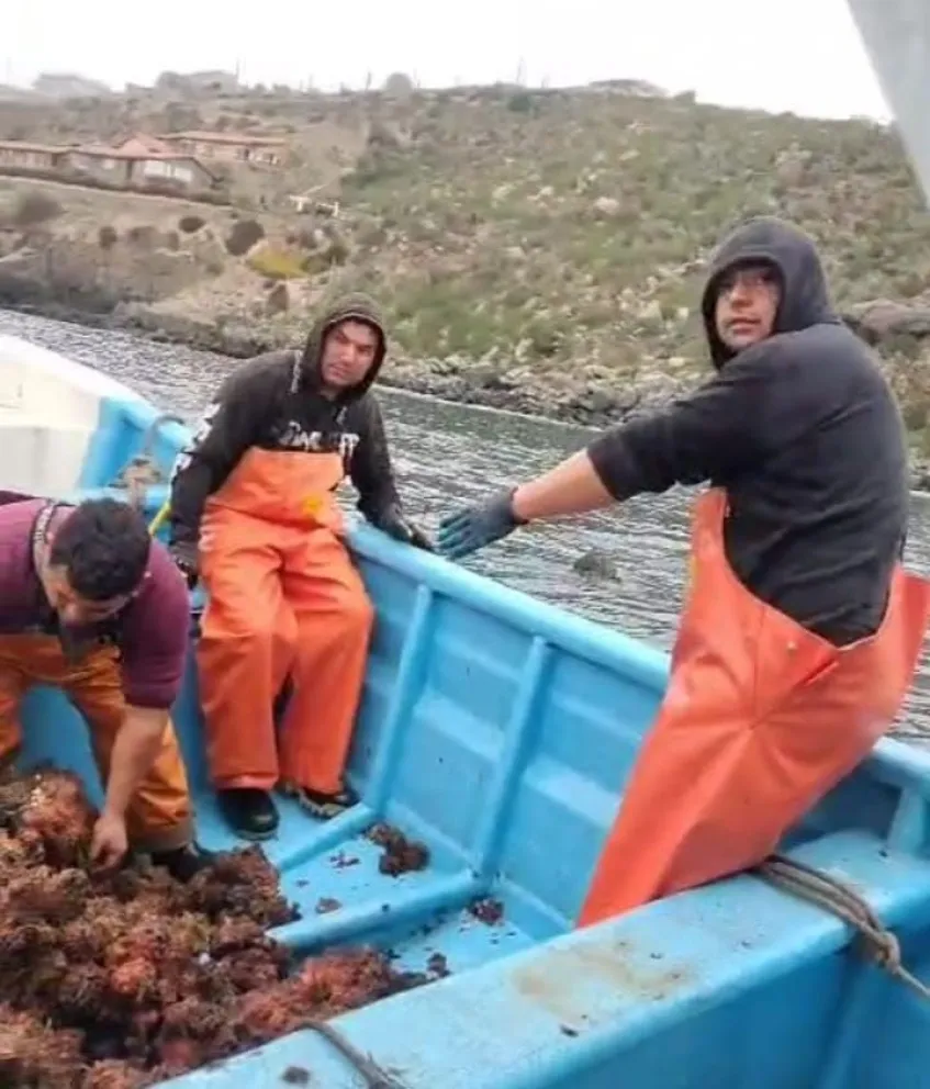 Los pescadores artesanales de Guayacán perdieron toda su producción para el presente año por el frente de mal tiempo. (Foto: Cedida)