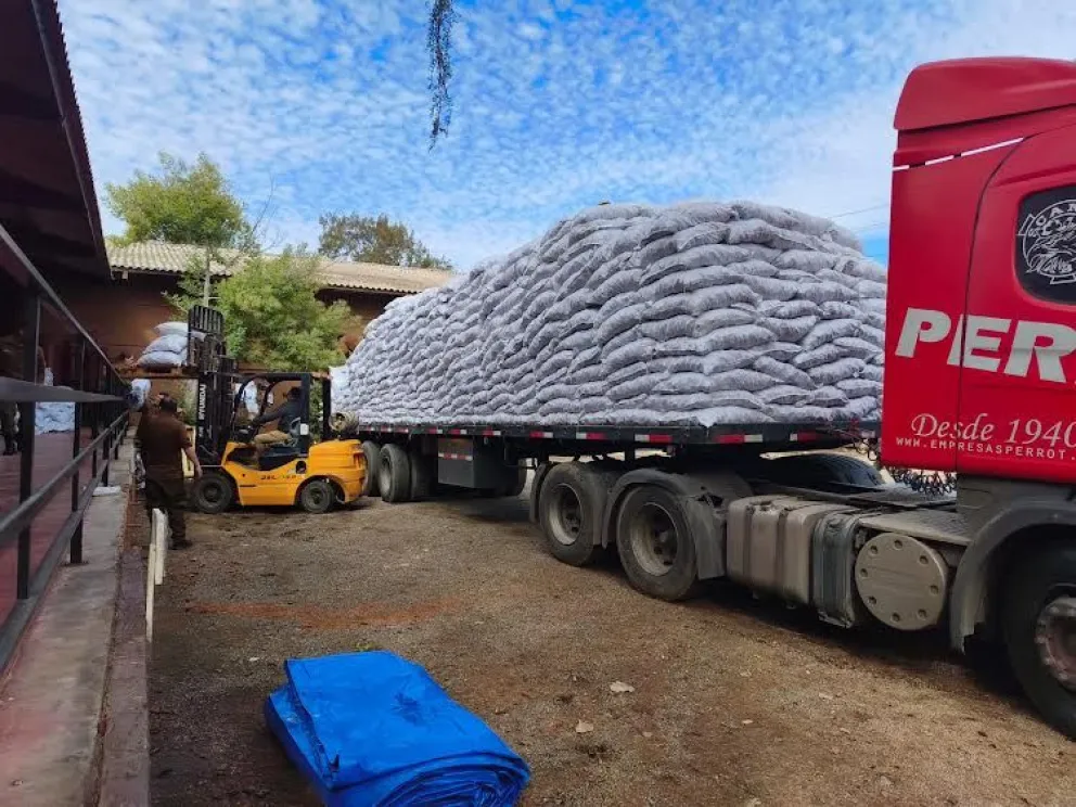 La ayuda será distribuida a través de la delegación presidencial provincial de Limarí, con apoyo de la Cooperativa Control Pisquero, (Foto: Cedida)