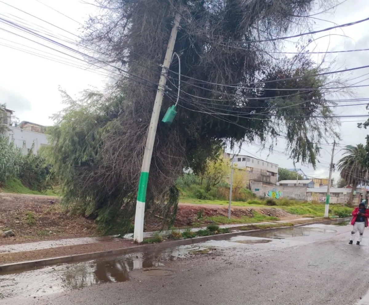 Unión Comunal Rural de Ovalle cuestiona respuesta de CGE tras temporal