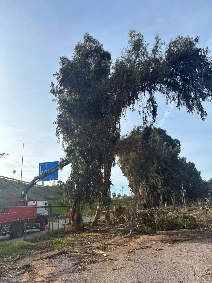 Cierre temporal del Parque Pedro de Valdivia por trabajos preventivos Cierre temporal del Parque Pedro de Valdivia por trabajos preventivos
