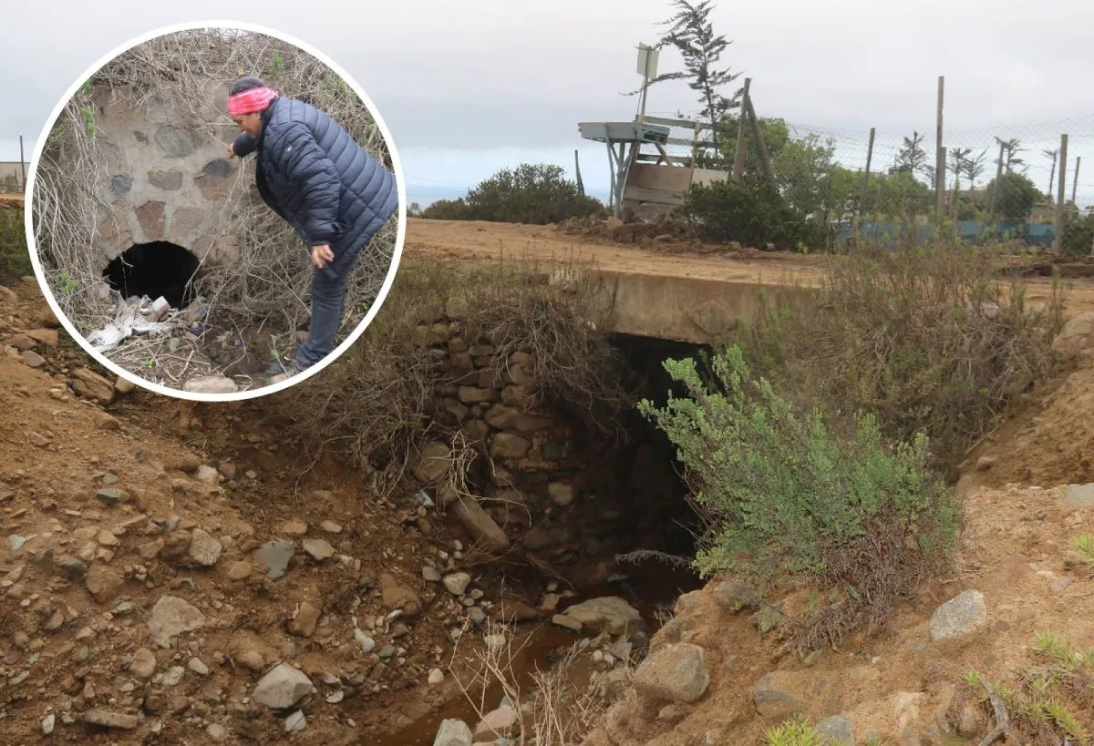 Emergencia de centenario puente oculto en Arrayán Costero