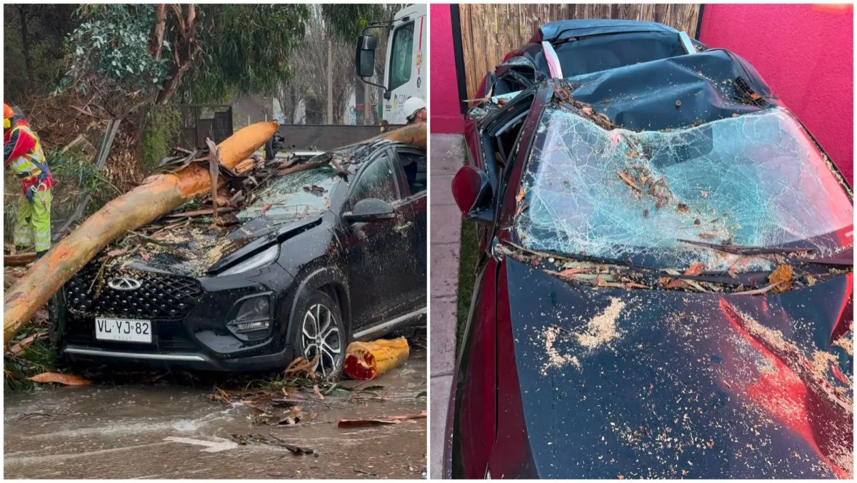 Profesora de La Serena realiza colecta tras perder auto por caída de árbol