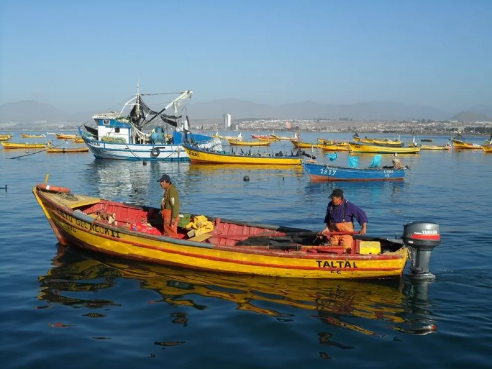 Los pescadores de la Caleta de Coquimbo lamentan que el subsecretario de Pesca y Acuicultura, Osvaldo Urrutia, no se haya reunido con ellos para escuchar sus demandas. (Foto: El Día)