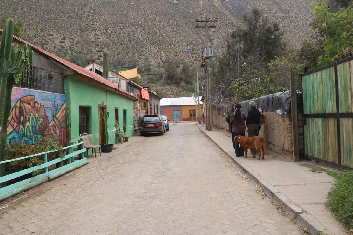 Trágico asesinato de Anne en el valle del Elqui Trágico asesinato de Anne en el valle del Elqui