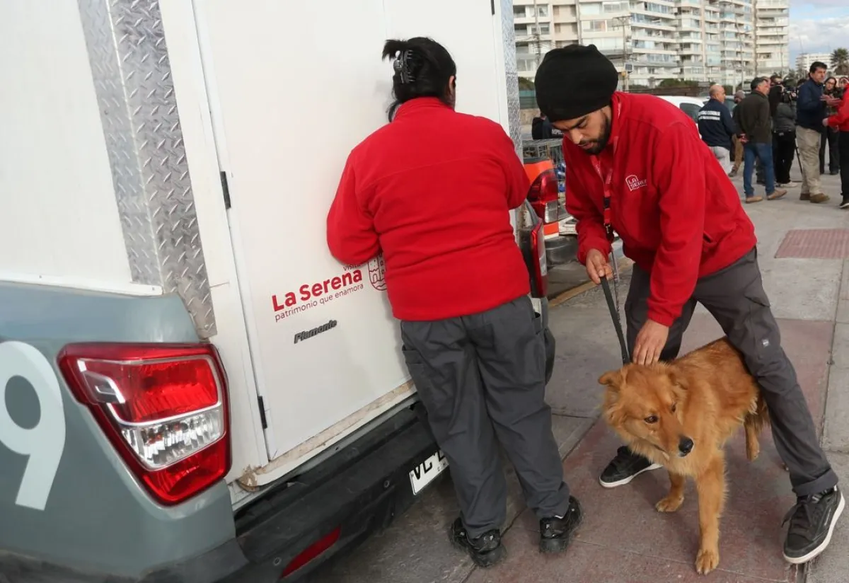 Clínica veterinaria móvil en La Serena
