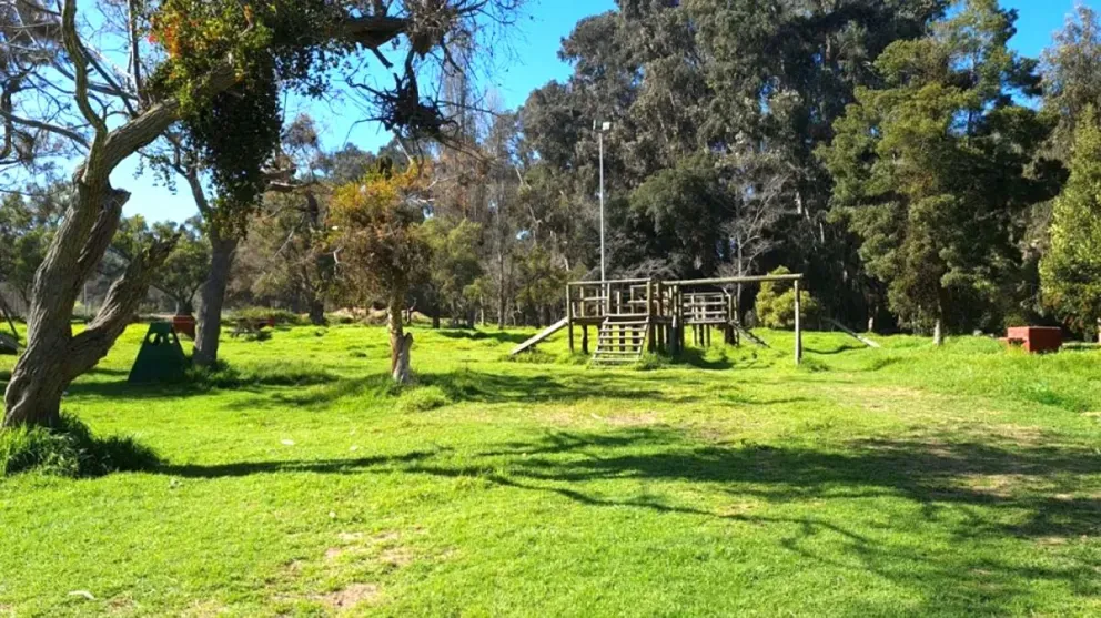 El Parque Gabriel Coll y otras áreas verdes. como el Parque Pedro de Valdivia, han sido favorecidos con las últimas precipitaciones tras años de sequía. (Foto: El Día)