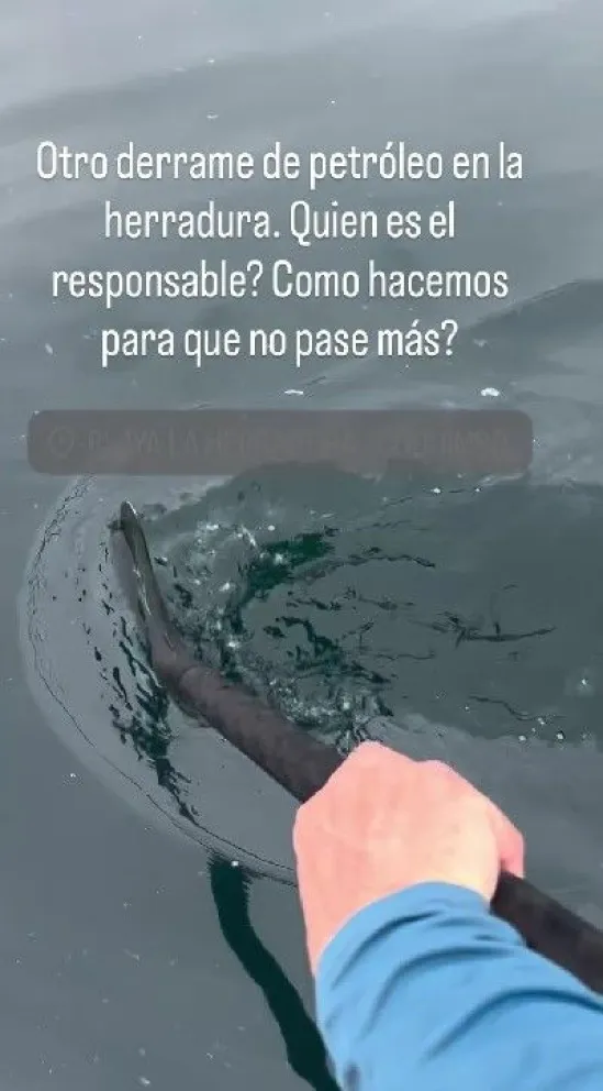 Captura de pantalla 