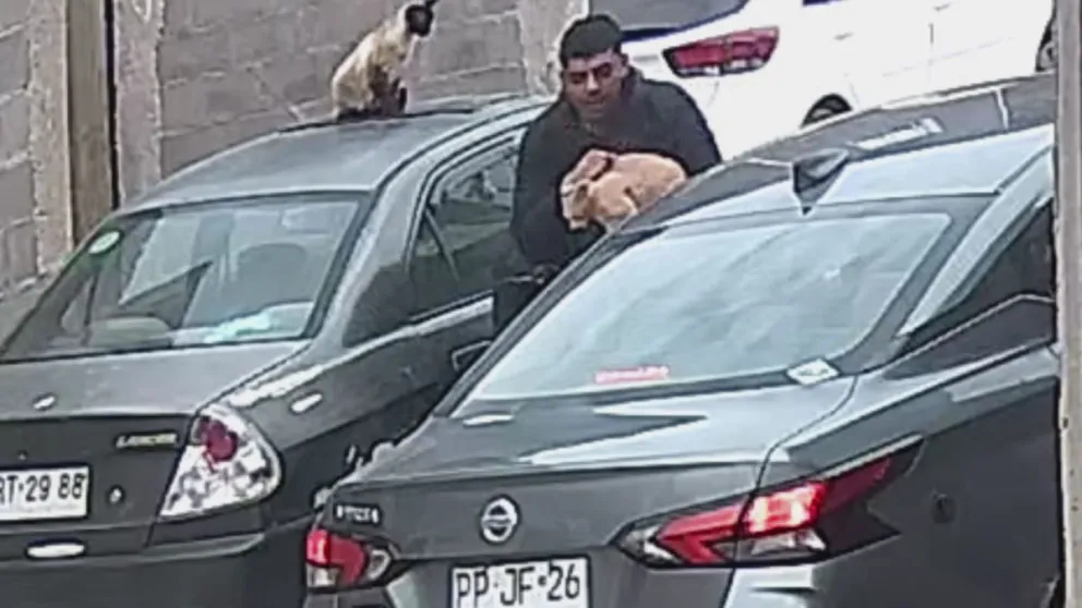 Vecinos denunciaron que dos sujetos estarían robando gatos desde los domicilios. (Foto: Captura de cámara)